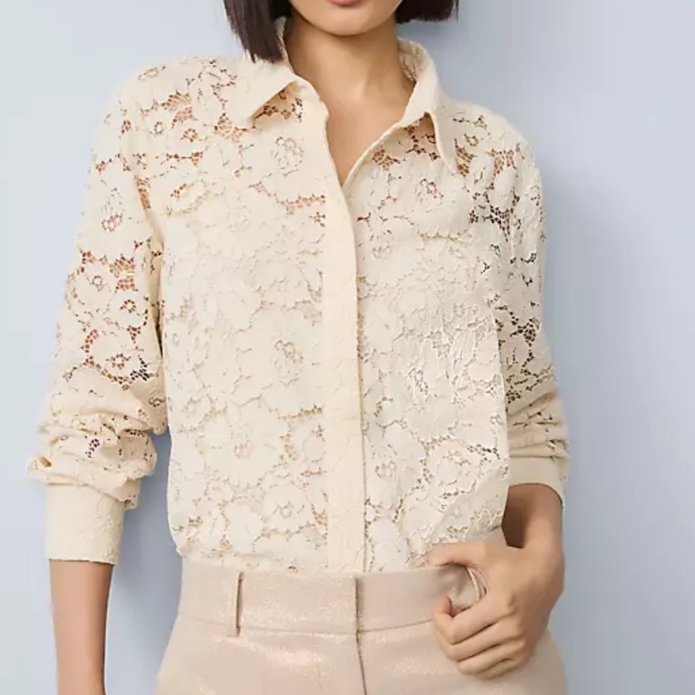 NWT Ann Taylor Lace Button-Up Blouse